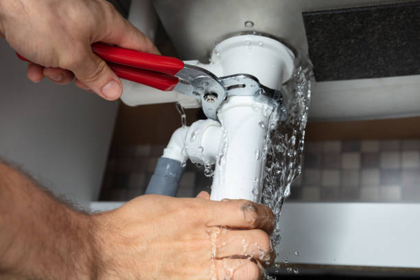 Reliable Aliceville, AL Water damage restoration Solutions