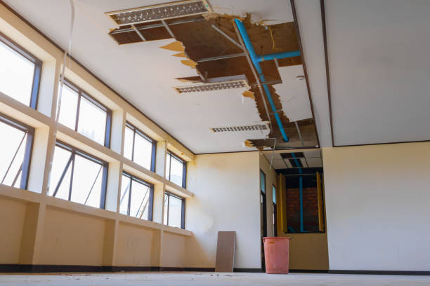 Best Emergency water damage restoration  in Iceville, AL