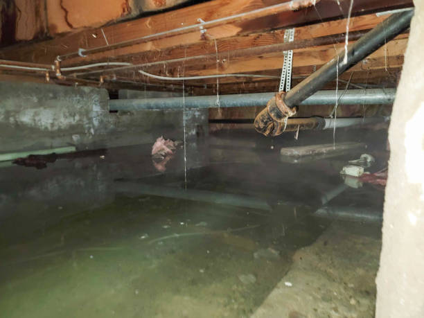 Best 24/7 water damage repair  in Iceville, AL