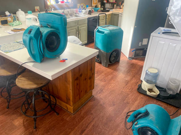 Water damage restoration process in Aliceville, AL