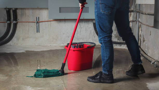 Best Professional water damage repair  in Iceville, AL
