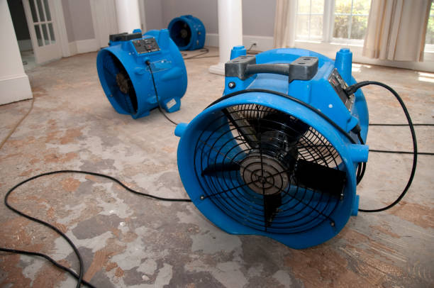 Best Flood damage cleanup  in Iceville, AL