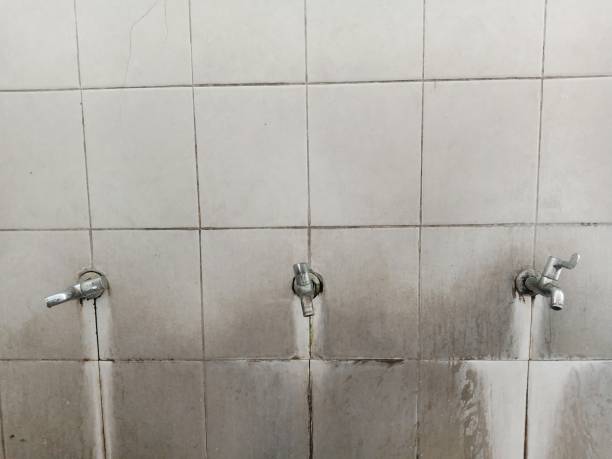 Best Ceiling water damage repair  in Iceville, AL