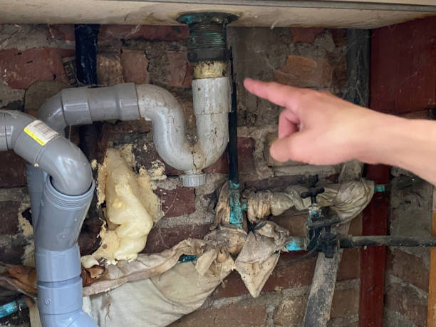 Best Residential water damage restoration  in Iceville, AL