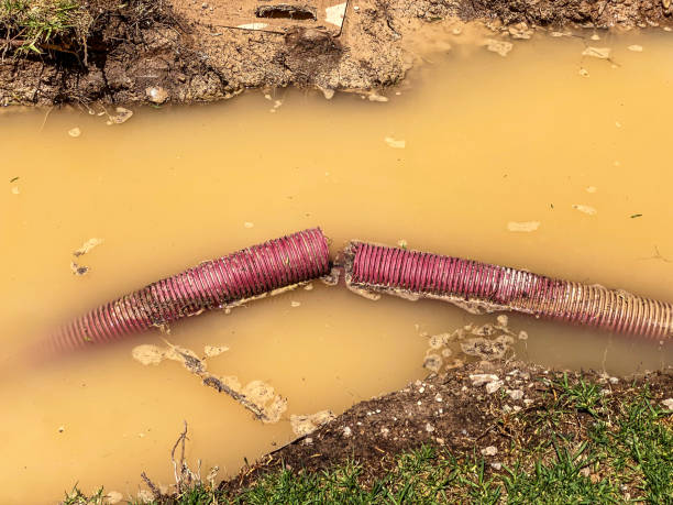 Best Water damage restoration near me  in Iceville, AL