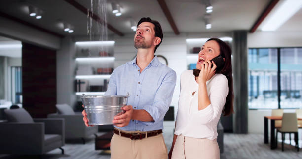 Best Emergency water damage restoration  in Iceville, AL